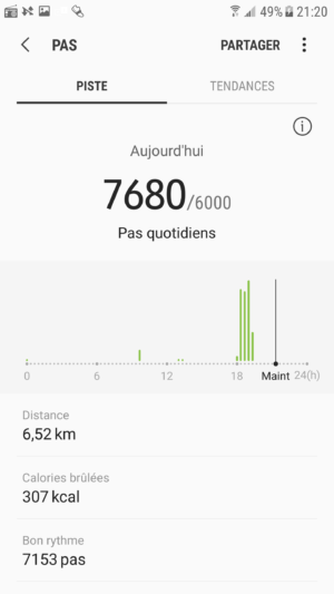 Podomètre proprement dit, Samsung Health