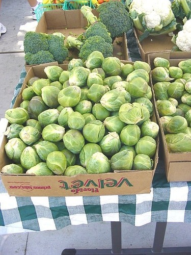 Choux de bruxelle